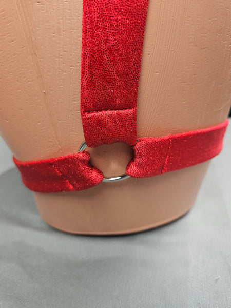 Holographic Red Garter Monokini w/ Matching Choker