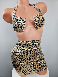 Animal Print Skirt Set