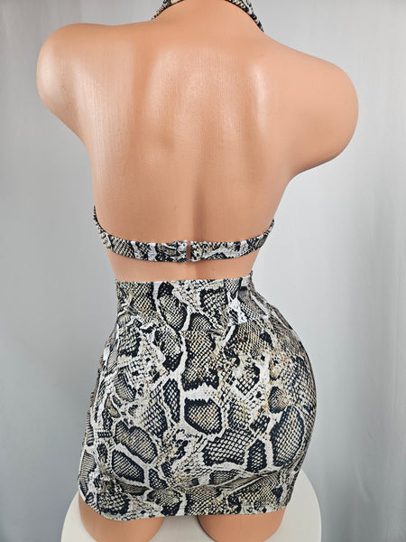 High Waist Snake Print Skirt Set